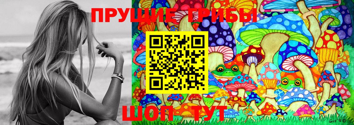 Курчалой  Псилоцибиновые грибы прущие грибы  Вход с VPN 